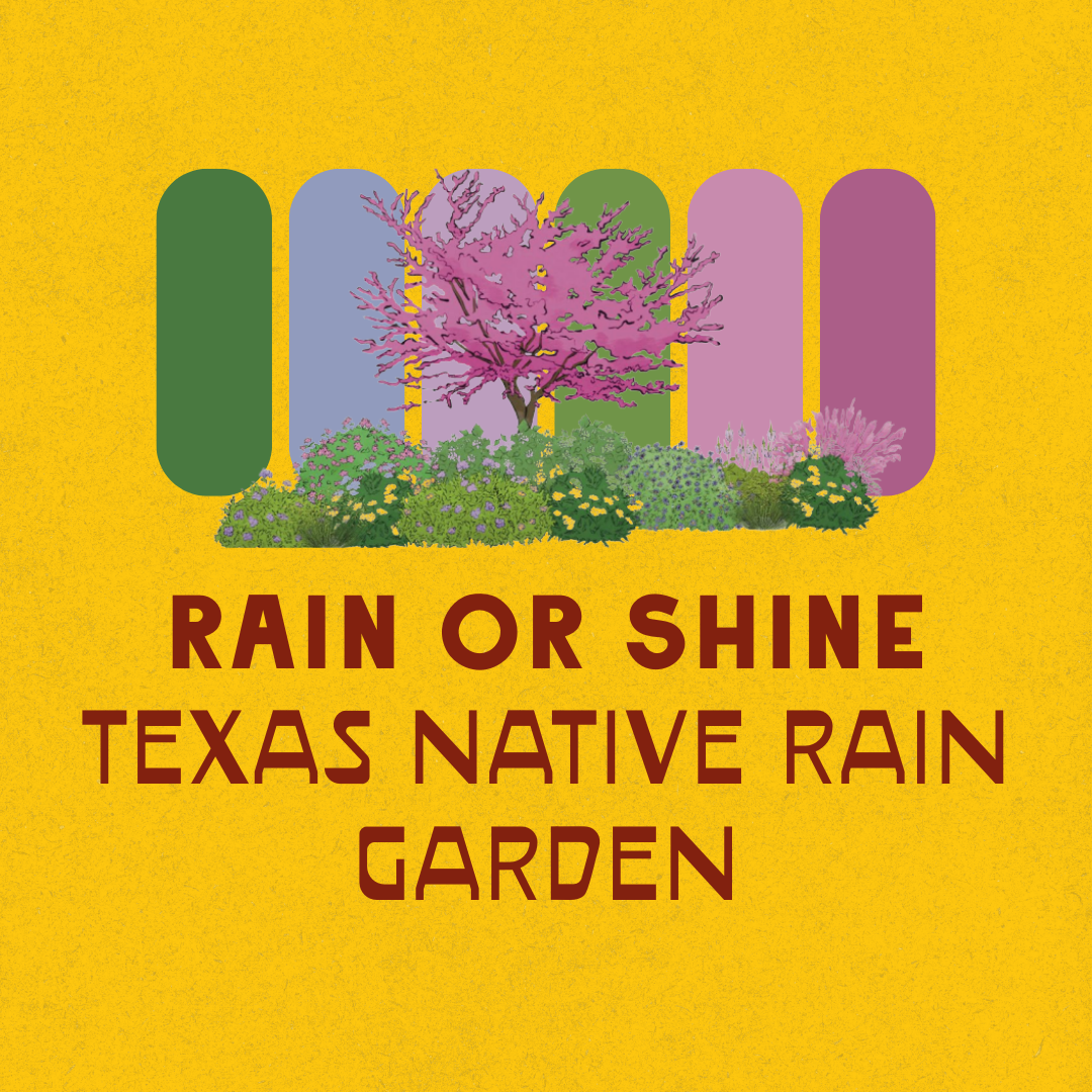 Full Sun Garden Recipes