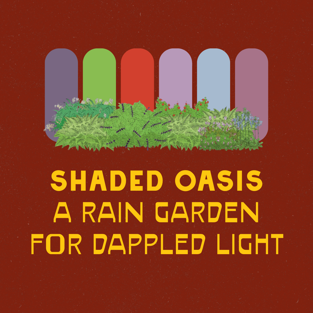 Shaded Garden Recipes