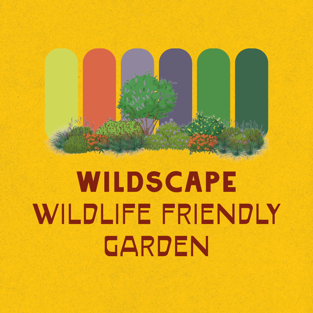 Full Sun Garden Recipes