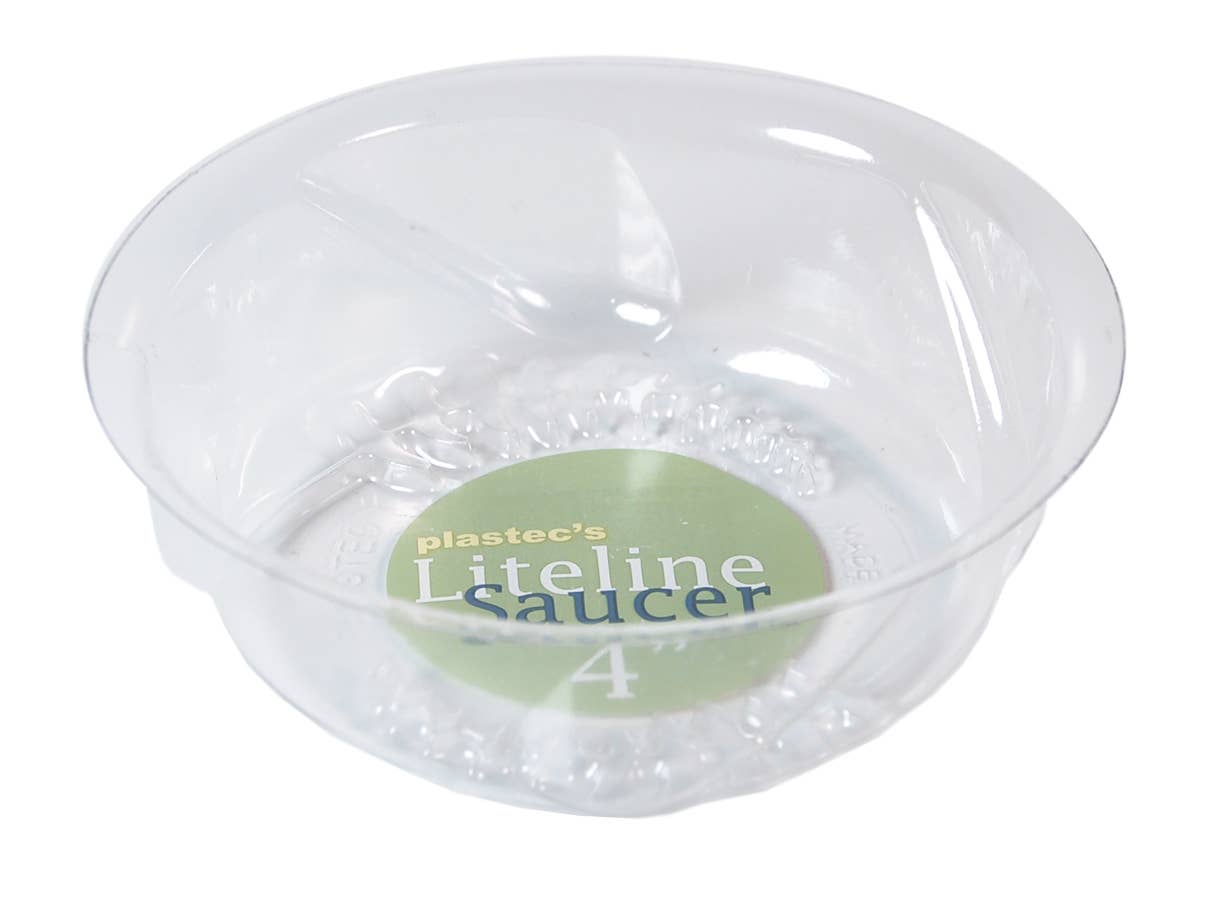Liteline Saucer 4"