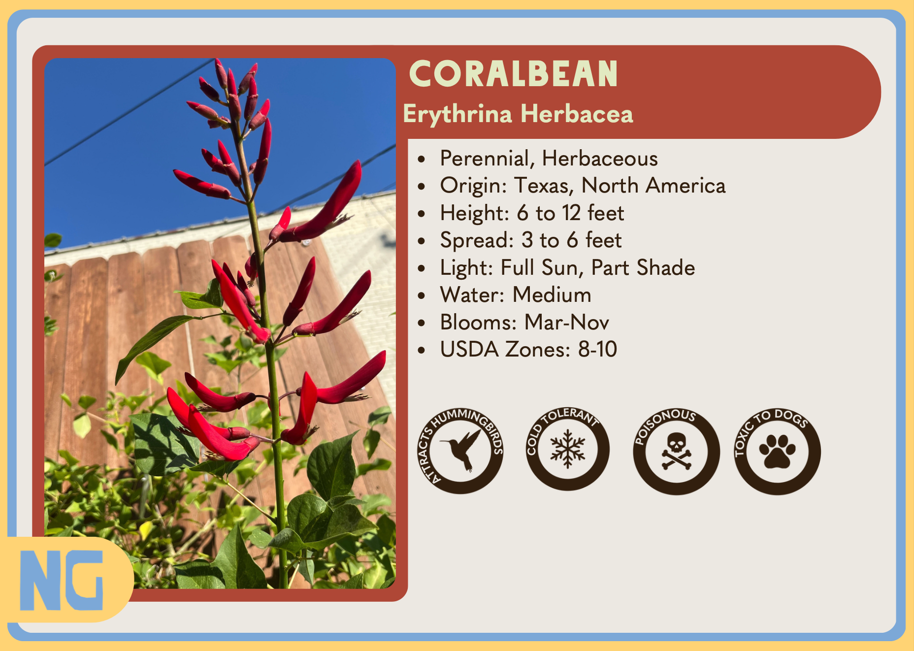 Texas Native Plant Nursery