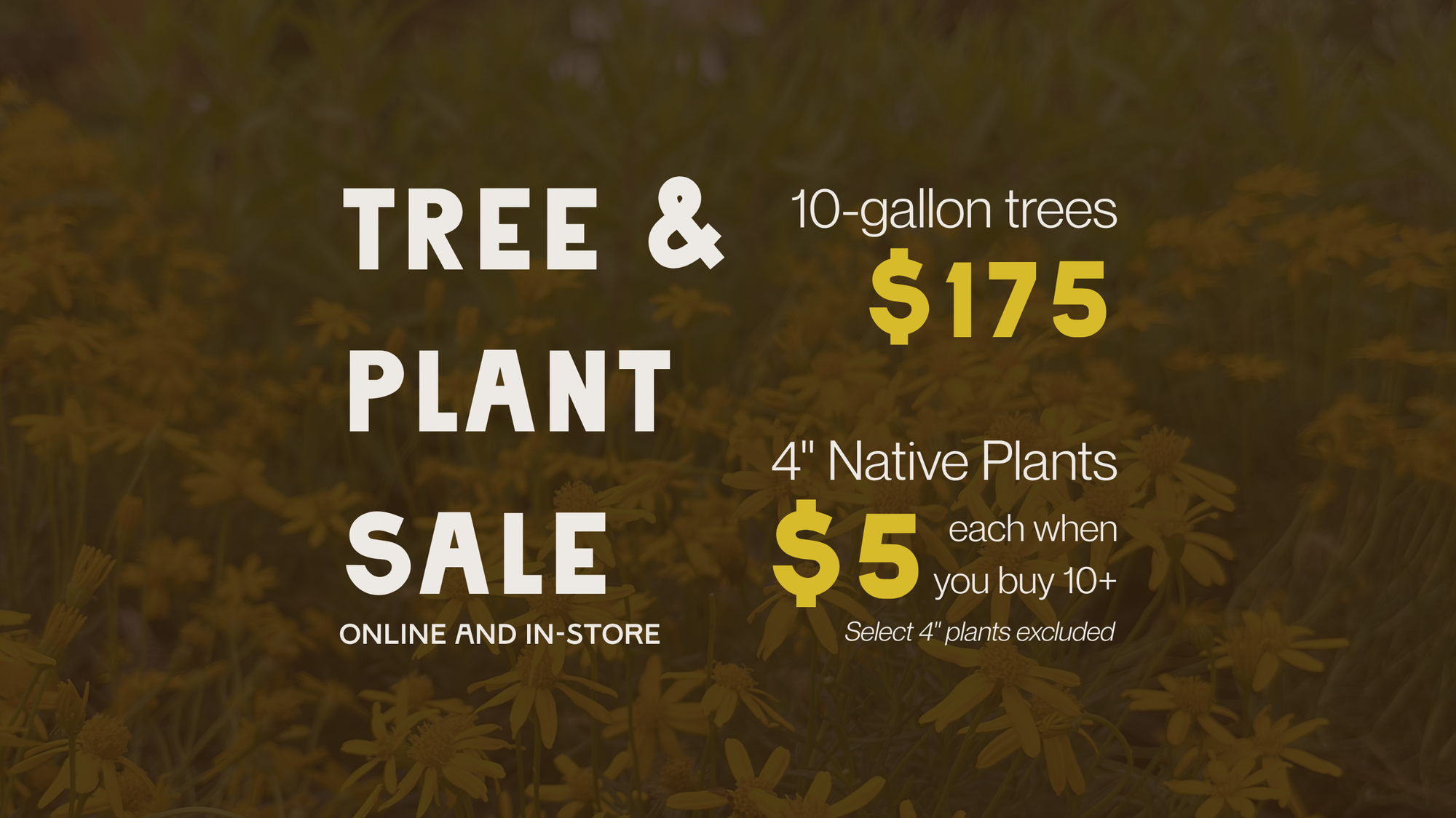 Advertisement for tree and plant sale with pricing on a nature-themed background
