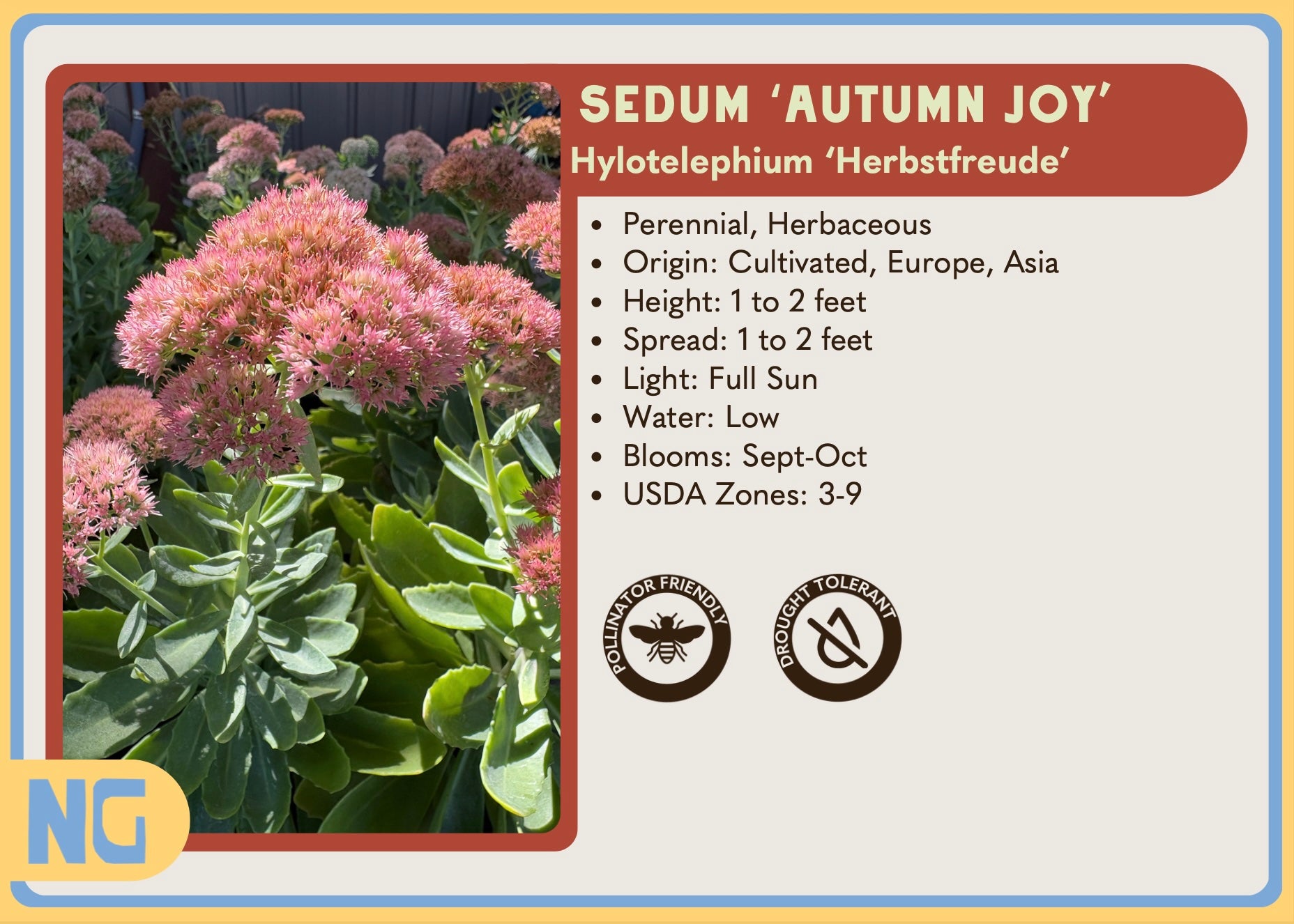 texas native plant nursery