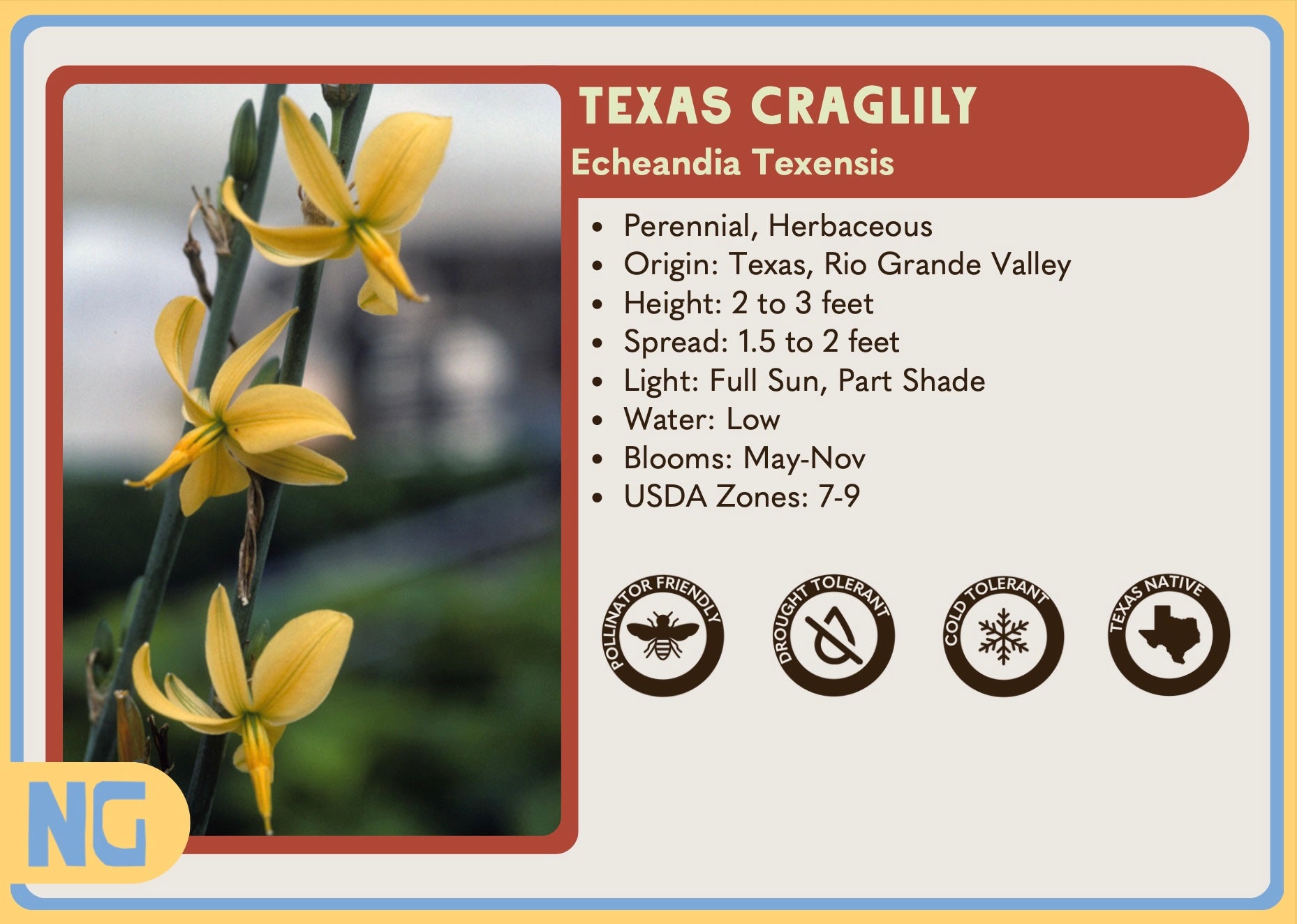 Texas Native Nursery Plant