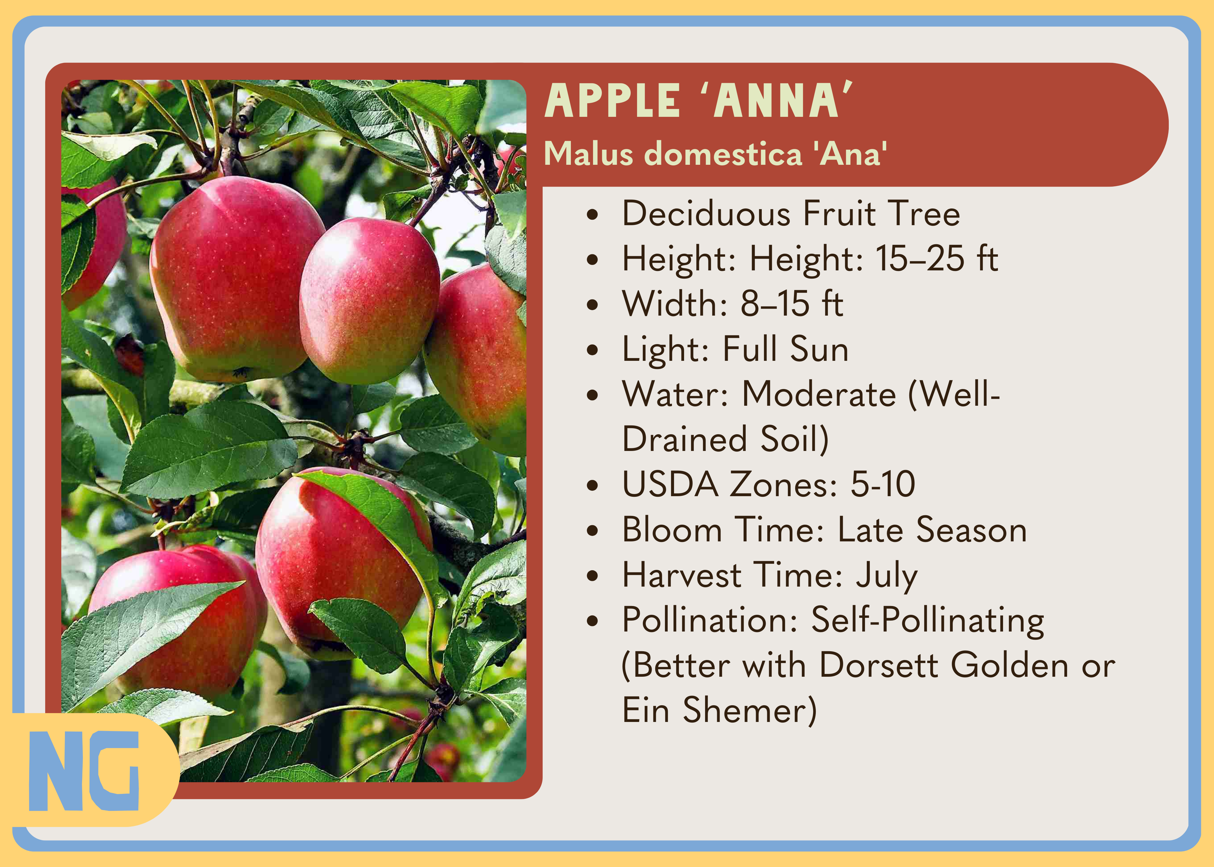 Apple Tree Growth Chart Apple Tree Almanac: Your Definitive Guide To