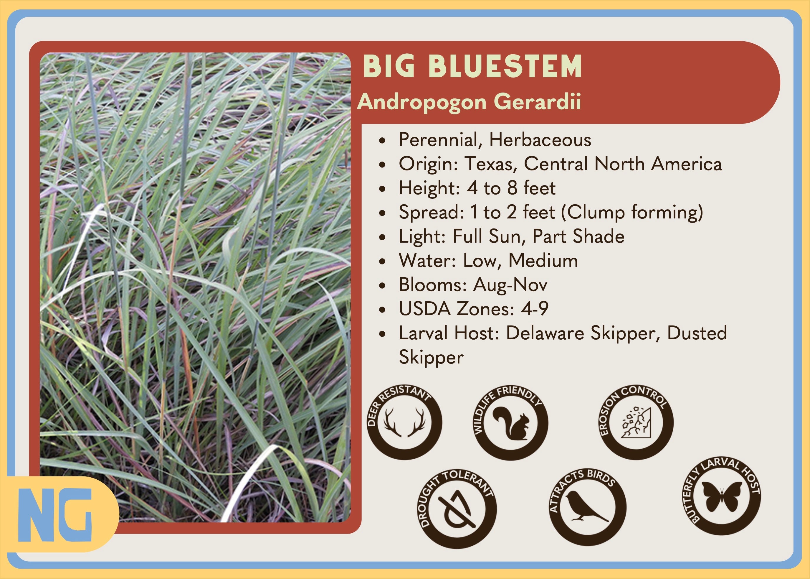 texas native plant nursery