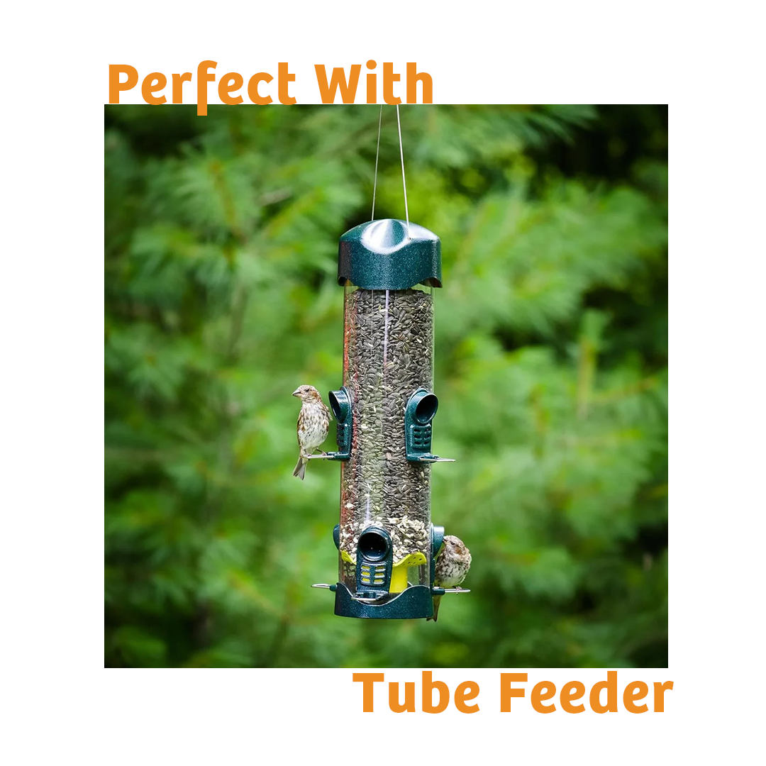Trailblazin' Wild Bird Food - 5 lbs.