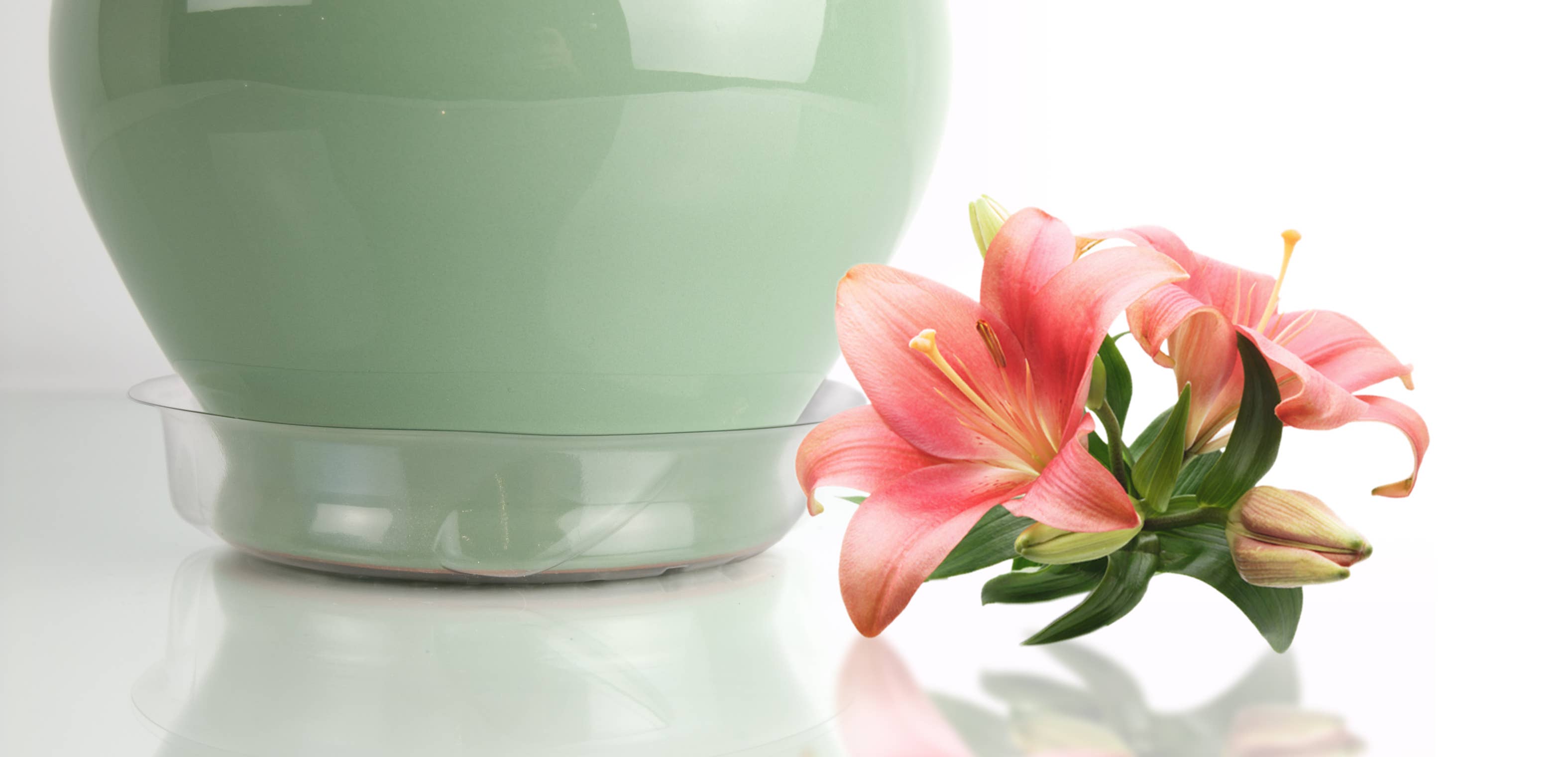 Liteline Saucer 6"