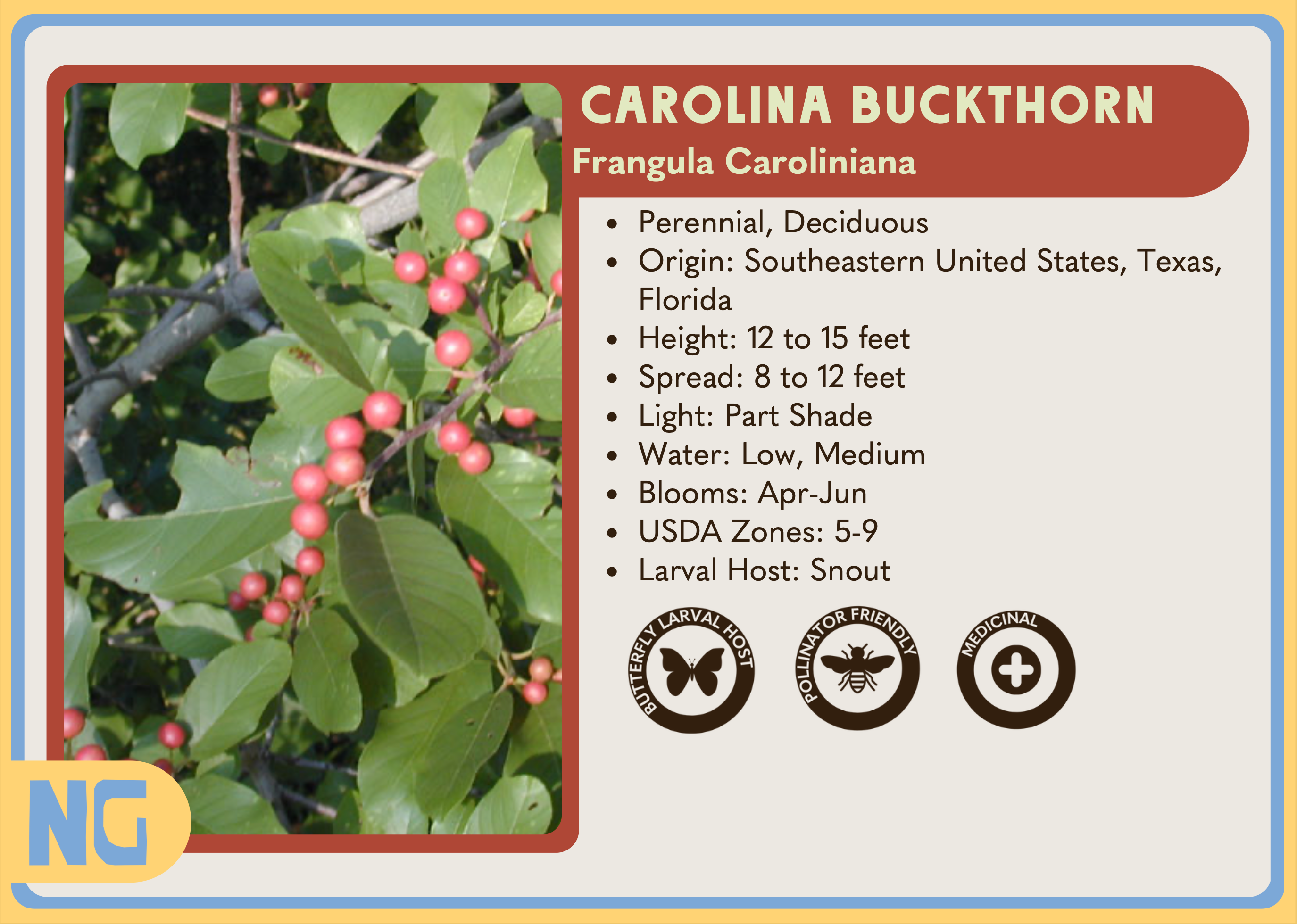 Texas Native Plant Nursery