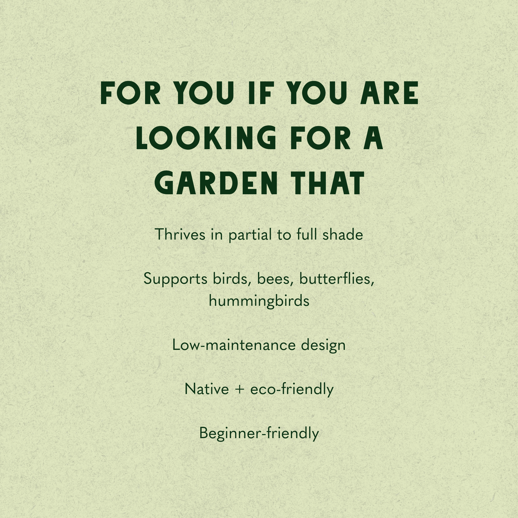 Classic Shade Garden Design