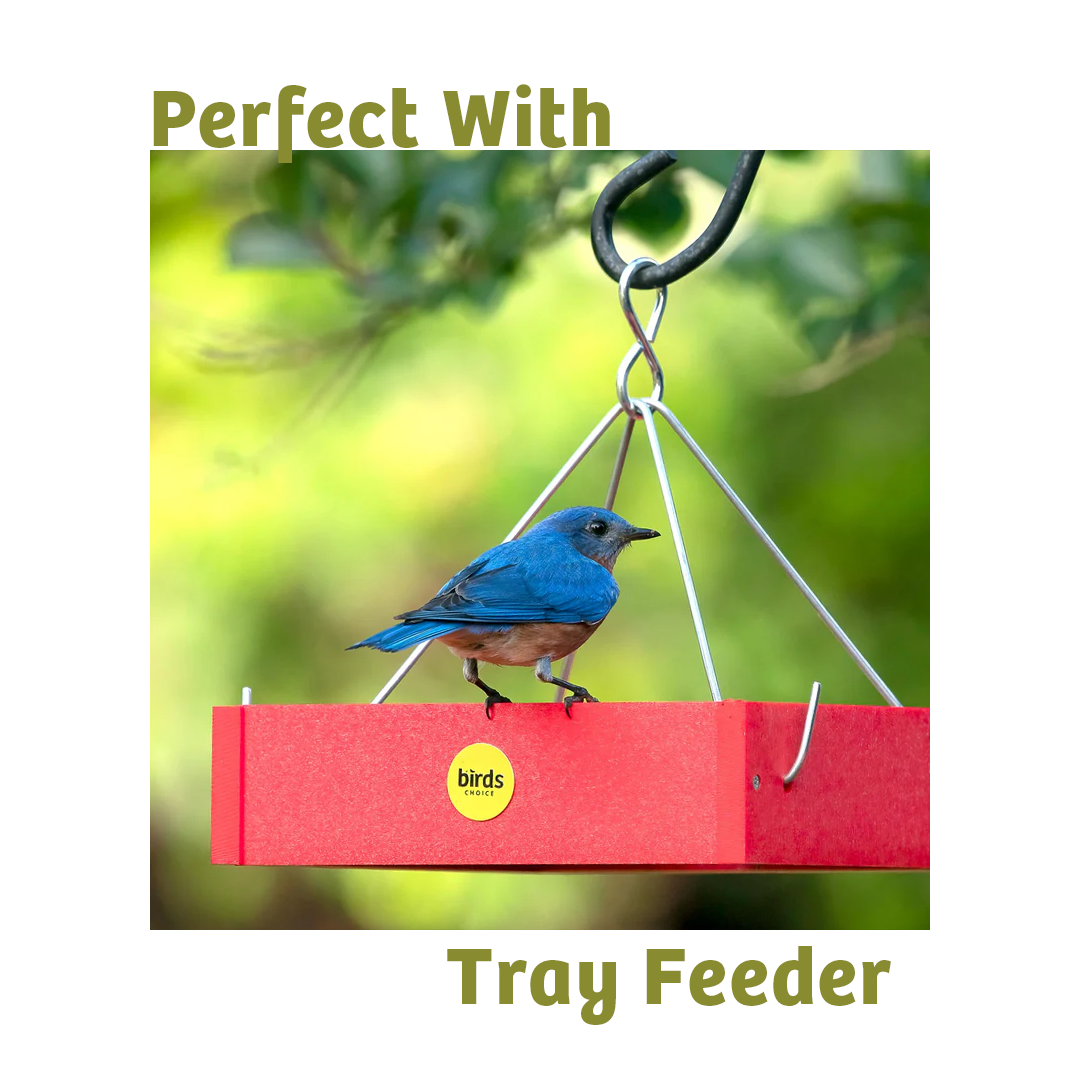 Waste-Not Wild Bird Food - 10 lbs.