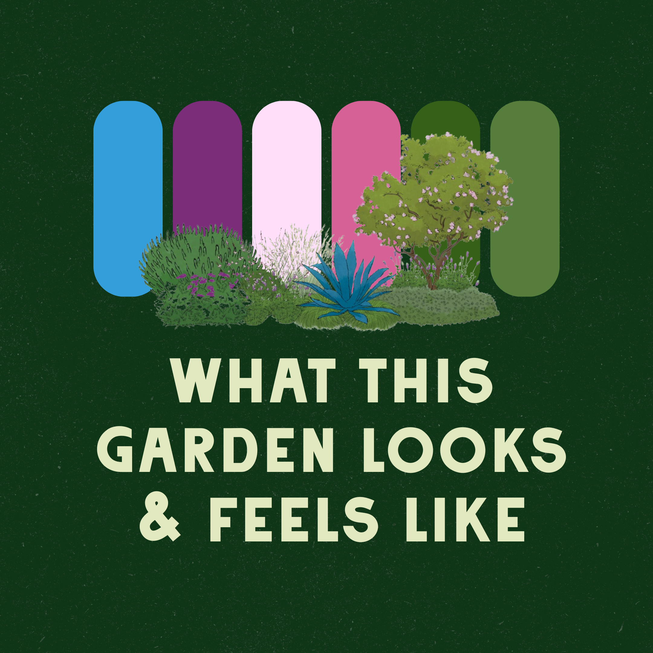 Midcentury Inspired Garden Design