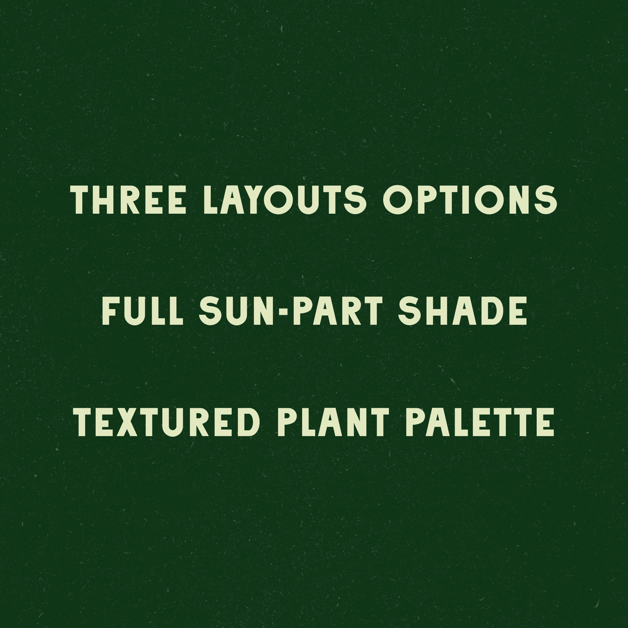 Midcentury Inspired Garden Design