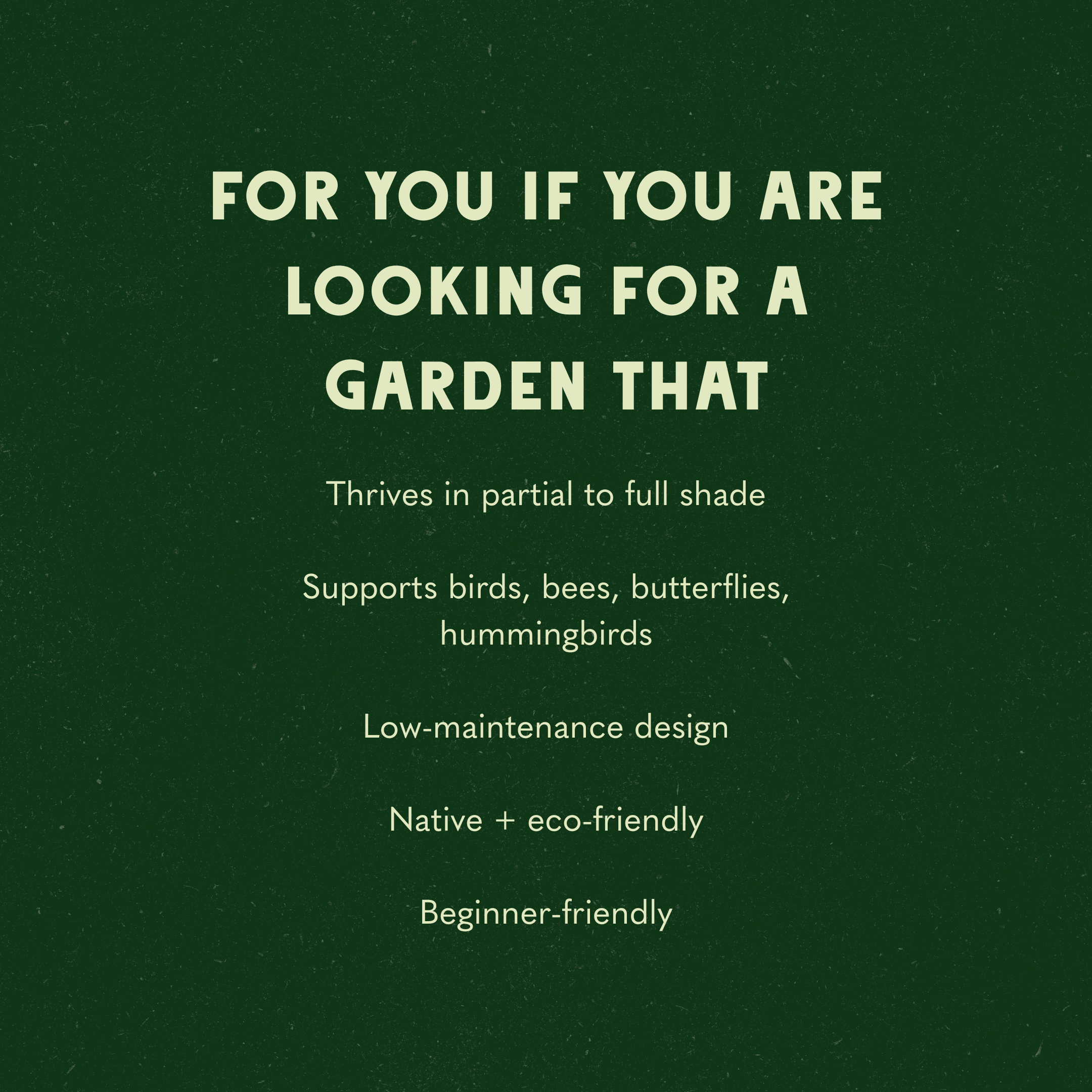 Midcentury Inspired Garden Design