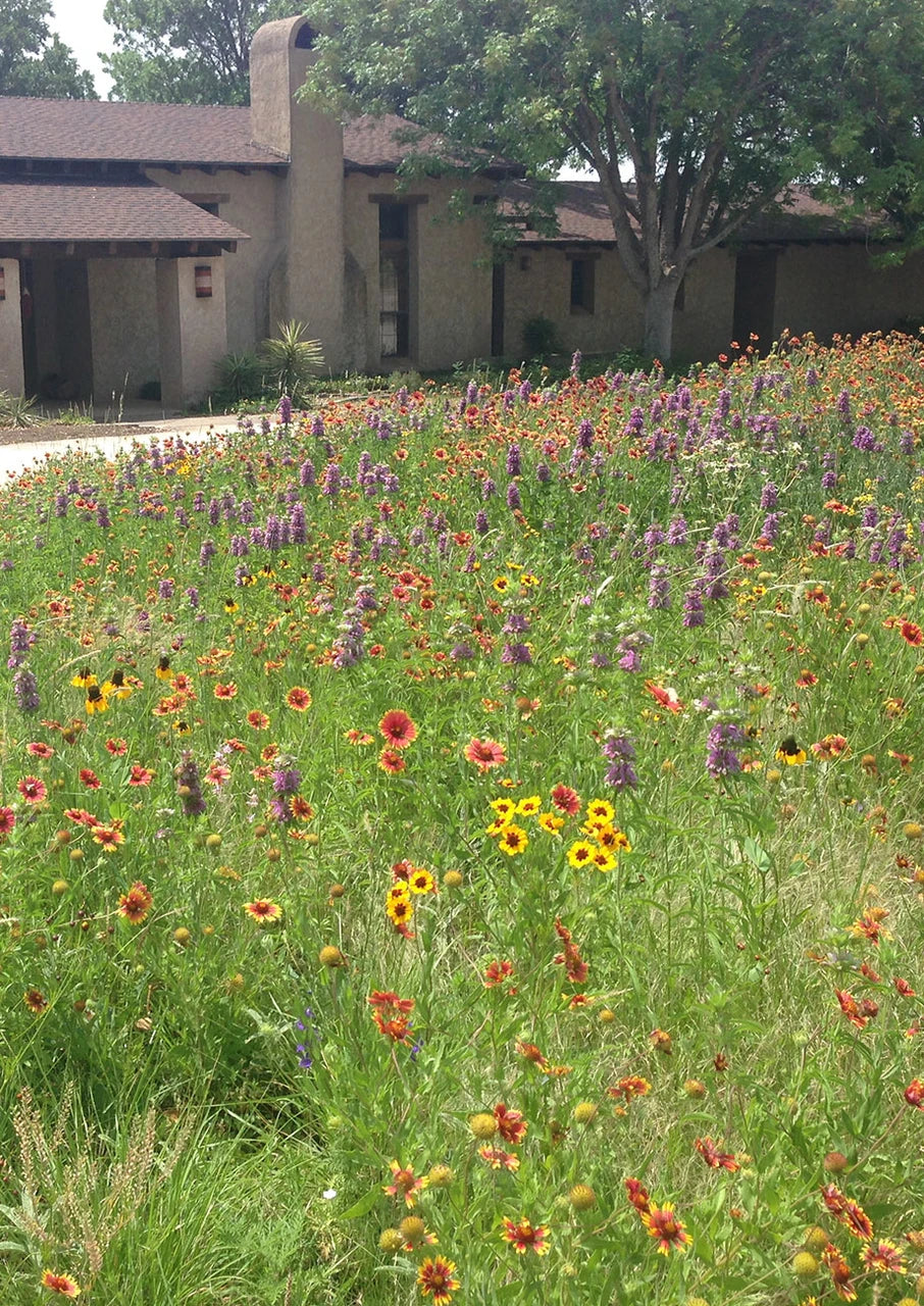 Pollinator Essentials Mix