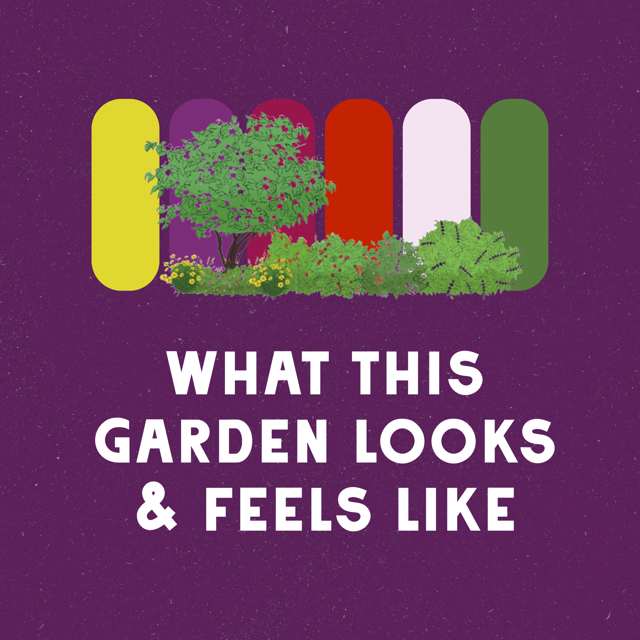 A Berry Shaded Wildscape Design