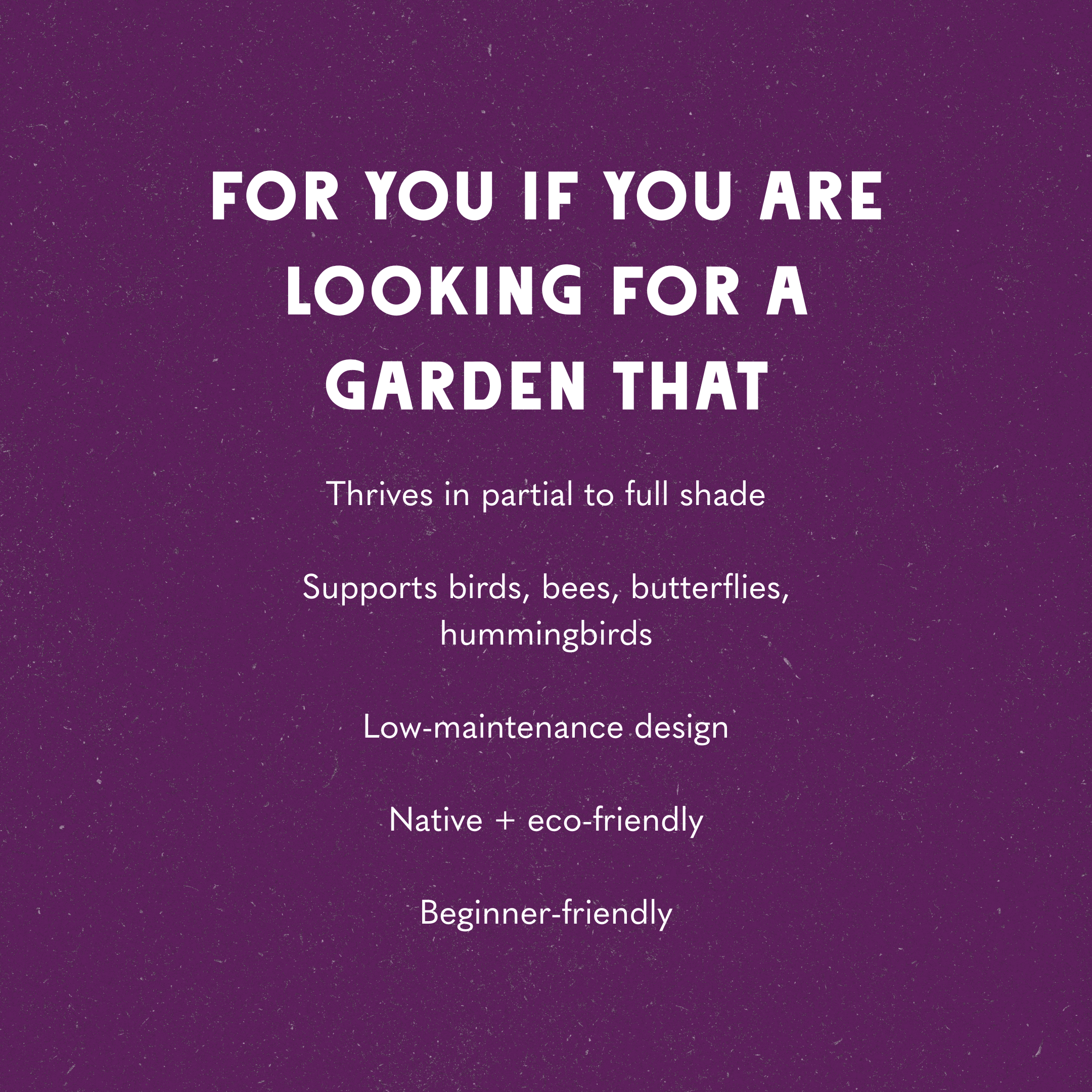 A Berry Shaded Wildscape Design