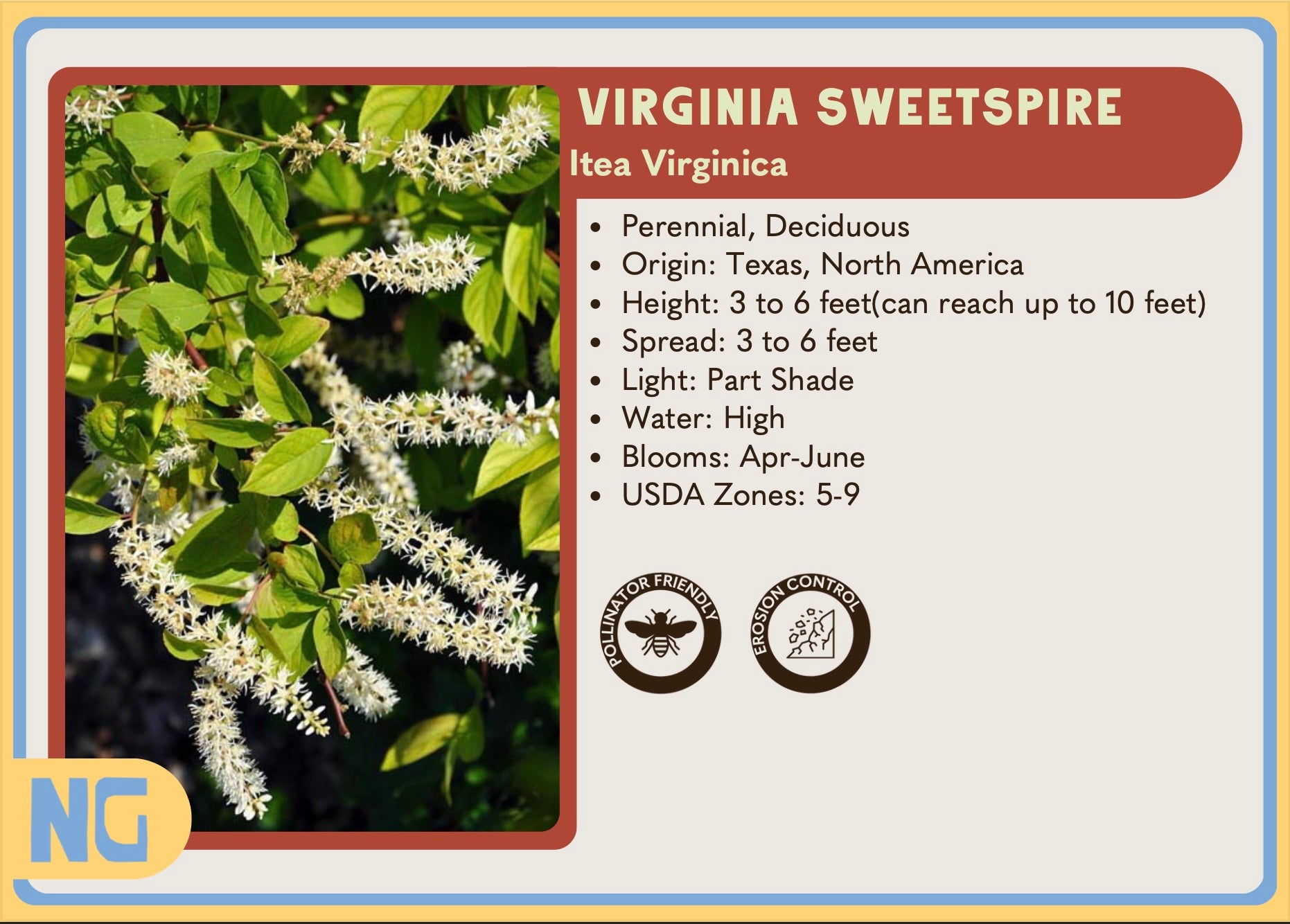 texas native plant nursery